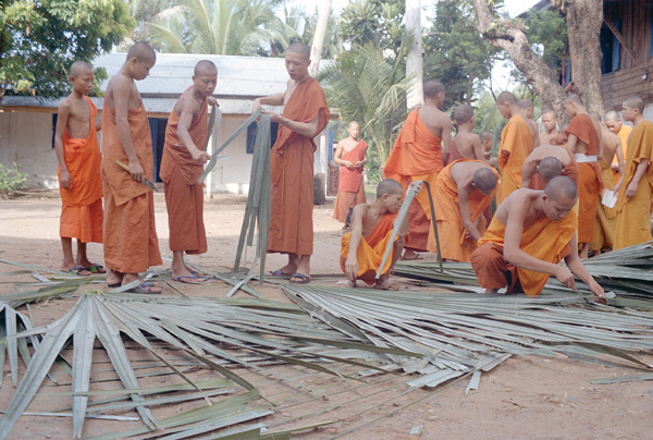 Lao yantra in Tham script — Novice monks practicing the art of making palm-leaf folios. 1. Selecting suitable leaves from palm tree fronds. Vat Mano