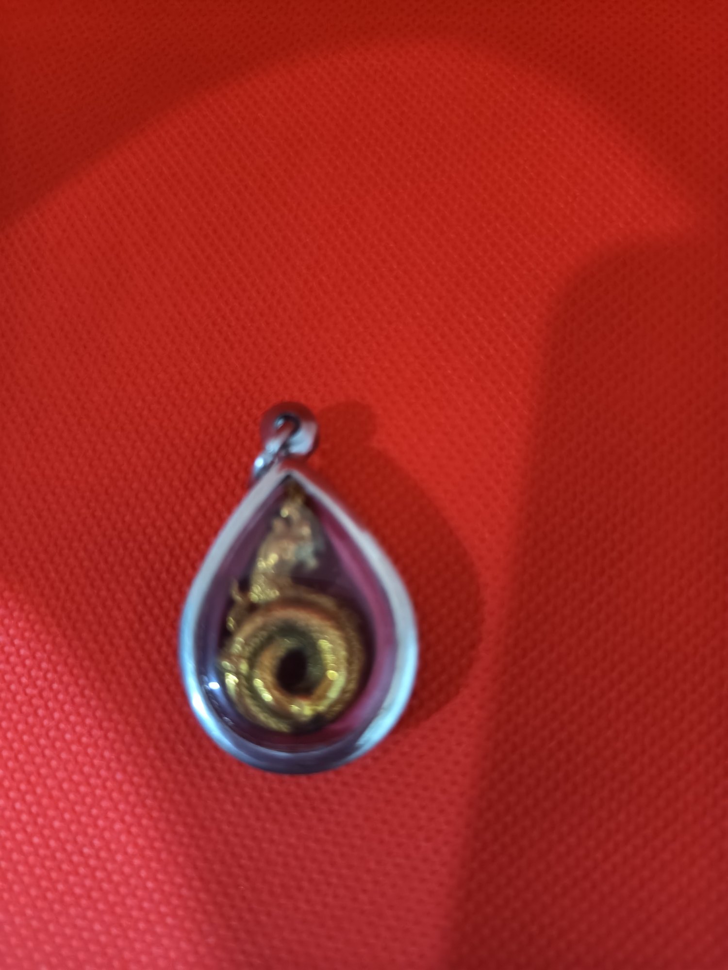 Coiled naga in a teardrop case, photograph 1