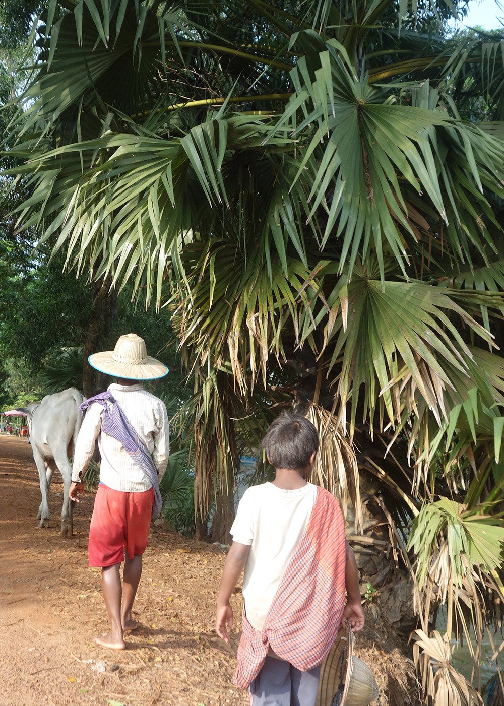 Khmer yantra cloth — Farmer and his son wearing krama scarves in the vicinity of Siem Reap.